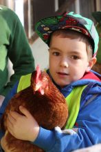 Besuch beim Bauer Franz