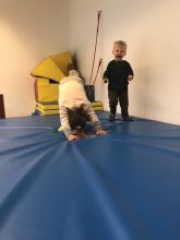 Foto: Theresa Rohrmoser