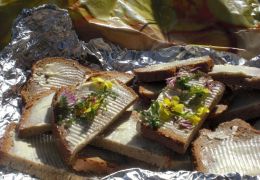 Foto: KG Bruck Spatzennest