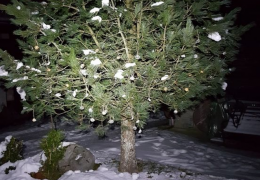 Adventwanderung Foto: KG Krimml