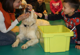 Foto: Stephanie Roth