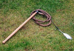 Foto: https://commons.wikimedia.org/wiki/File:Goa%C3%9Fl_gesamt.jpg