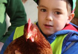 Besuch beim Bauer Franz