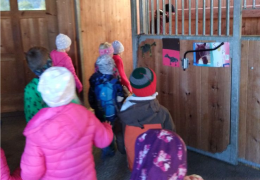 Besuch beim Pferdehof FOTO: Kathrin Hettegger