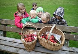 Fallobst aus dem Freizeitgelände Bischofshofen