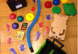 Inhalt der Bewegungskisten  Foto: Berhard Bayer