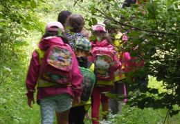 Ein "rundum g´sunder" Tag Ein "rundum g´sunder" Tag