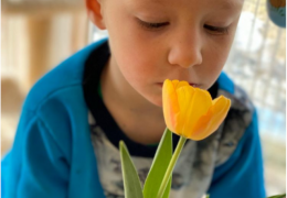 Frühlingserwachen, Foto: Karin Rieger