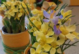 Foto: Monika Lohninger-Nocker