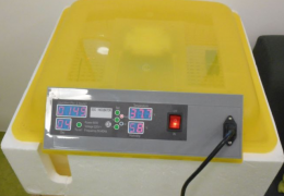 Ein Brutkasten im Kindergarten Foto: Ingrid Vordermaier