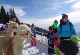 Foto: Angelika Pamminger