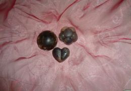 Lavendelseifen Foto: Sabine Nindl Lavendelseifen