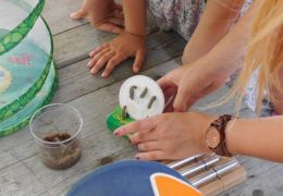 Foto: Karoline Schwaiger Foto: Karoline Schwaiger