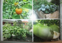 Foto: Martina Wiedhölzl