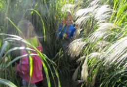 Foto: Martina Steiner