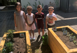 Foto: Laura Trausinger