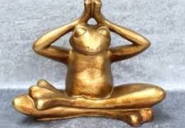 Bewegte Zeiten YOGI unser Yogafrosch