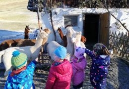 Bilder: Jasmin Rauchegger