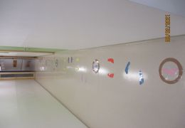 Foto: Stefanie Maierbrugger