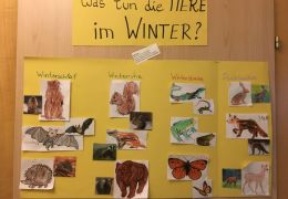 Was machen Tiere im Winter? (Foto: Nina Messner)