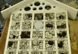 Foto: Martina Wiedhölzl