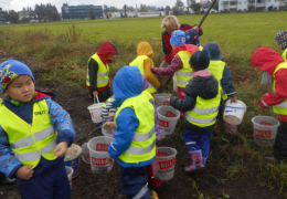 Kartoffelernte Foto: Ingrid Vordermaier