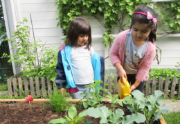 Foto: Michaela Krainz