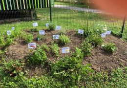 Kräuterhügel im Garten, Foto von Ingrid Vordermaier Kräuterhügel im Garten