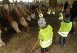 Die Kinder des ÜKG Bhofen besuchten den Bauernhof von Conny Rohrmoser Bauernhofbesuch
