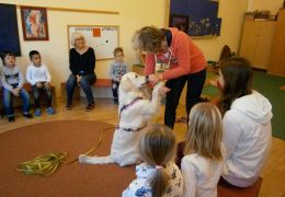 Hündin ´Tiffany´ bei der Arbeit. FOTO: Monika Mack