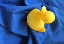 Foto:: Stephanie Hamberger