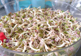 Foto: Kathrin Hettegger