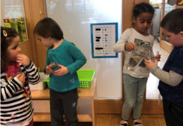 Foto: Laura Trausnig