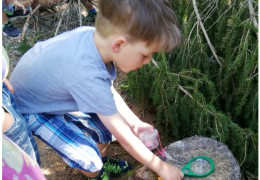 Wir erforschen den Wald mit einer Lupe. Foto: Barbara Schnell