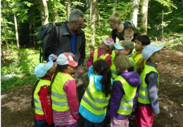 Kartoffelernte Foto: Ingrid Vordermaier