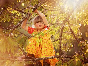 Gesund Bewegen Elternabend Gesund Bewegen