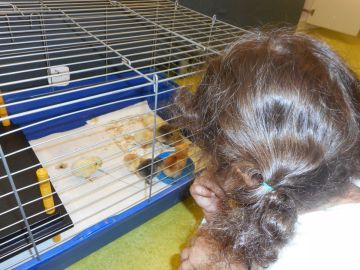 Foto: Ingrid Vordermaier