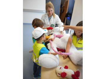Kaiserschnitt bei einem Teddy Foto: Ingrid Vordermaier
