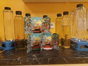 Fotonachweis: Birgit Moser