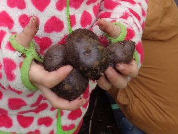 Herbstzeit ist Erntezeit
