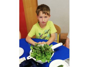 Wir fühlen die Kräuter. Foto: Simone Emberger