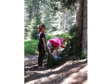 Wir erforschen den Wald. Foto: Barbara Schnell