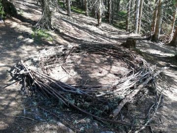 Unser Waldsofa. Foto: Barbara Schnell