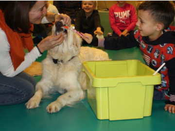 Foto: Stephanie Roth