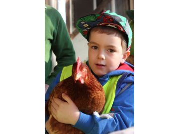 Besuch beim Bauer Franz