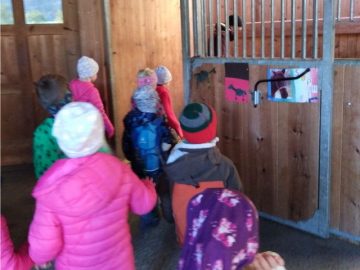 Besuch beim Pferdehof FOTO: Kathrin Hettegger