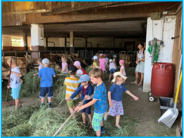 Währenddessen gingen wir in den Stall und fütterten die Kühe, die Kälber und die Pferde. Foto: Anna Wimmer