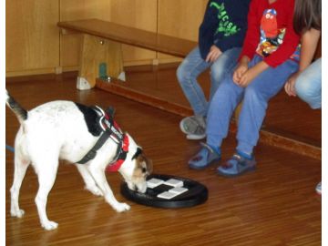 Suchspiel Foto: Ch. Rosner