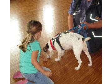 Beschnuppern Foto:Ch. Rosner