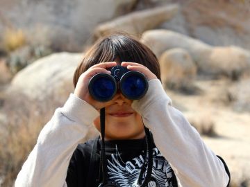 pixabay.com/nightowl